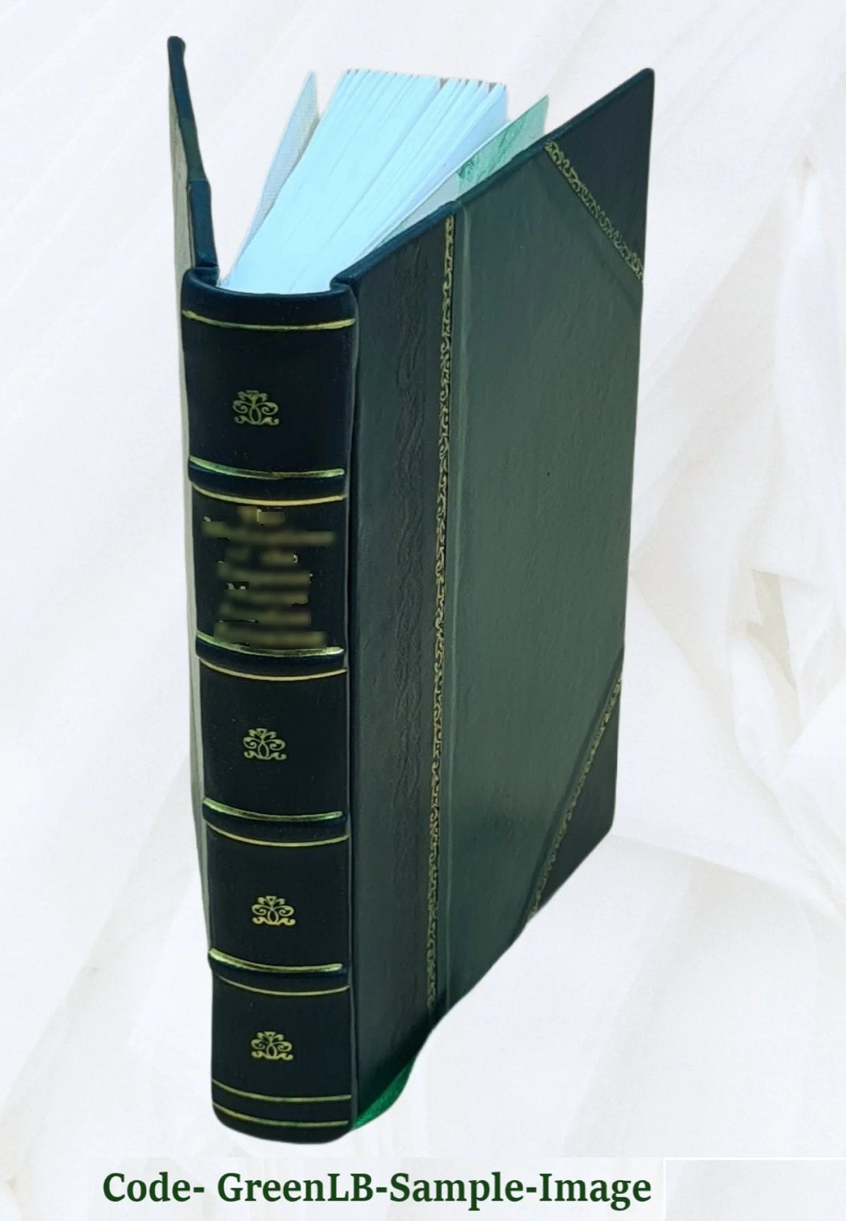 Leather Bound Book O481