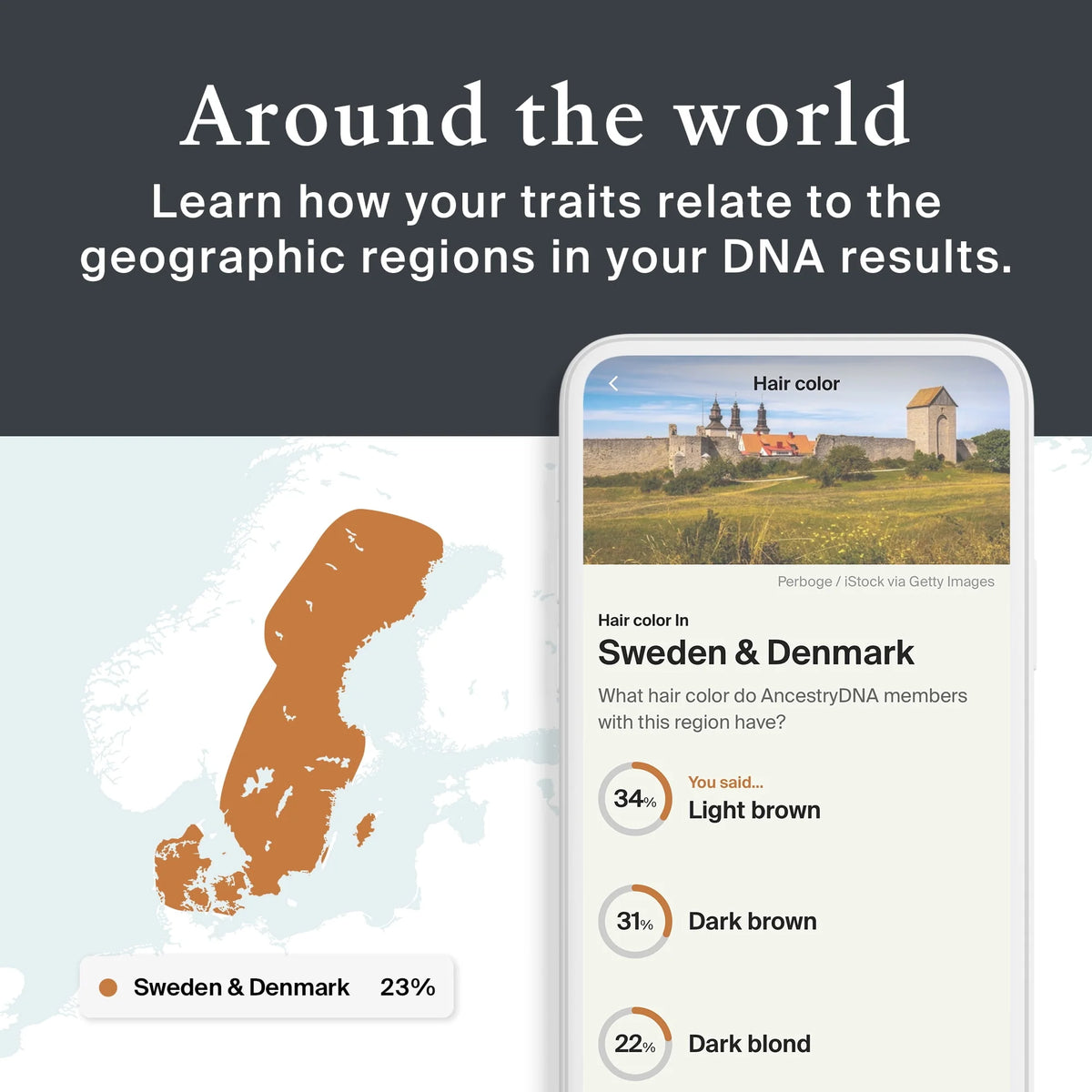 Genetic Traits DNA Test Kit K242340