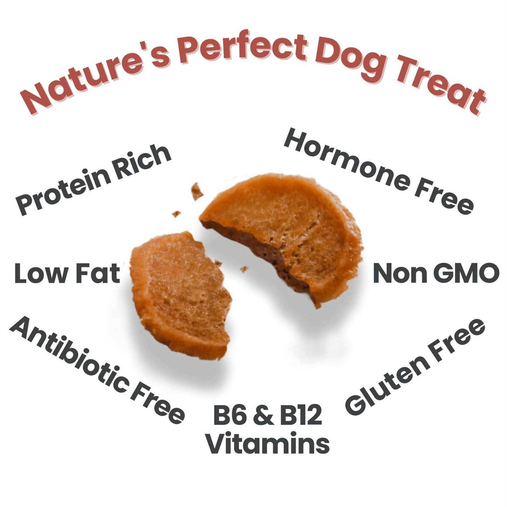 Chicken Chips Dog Treats H112