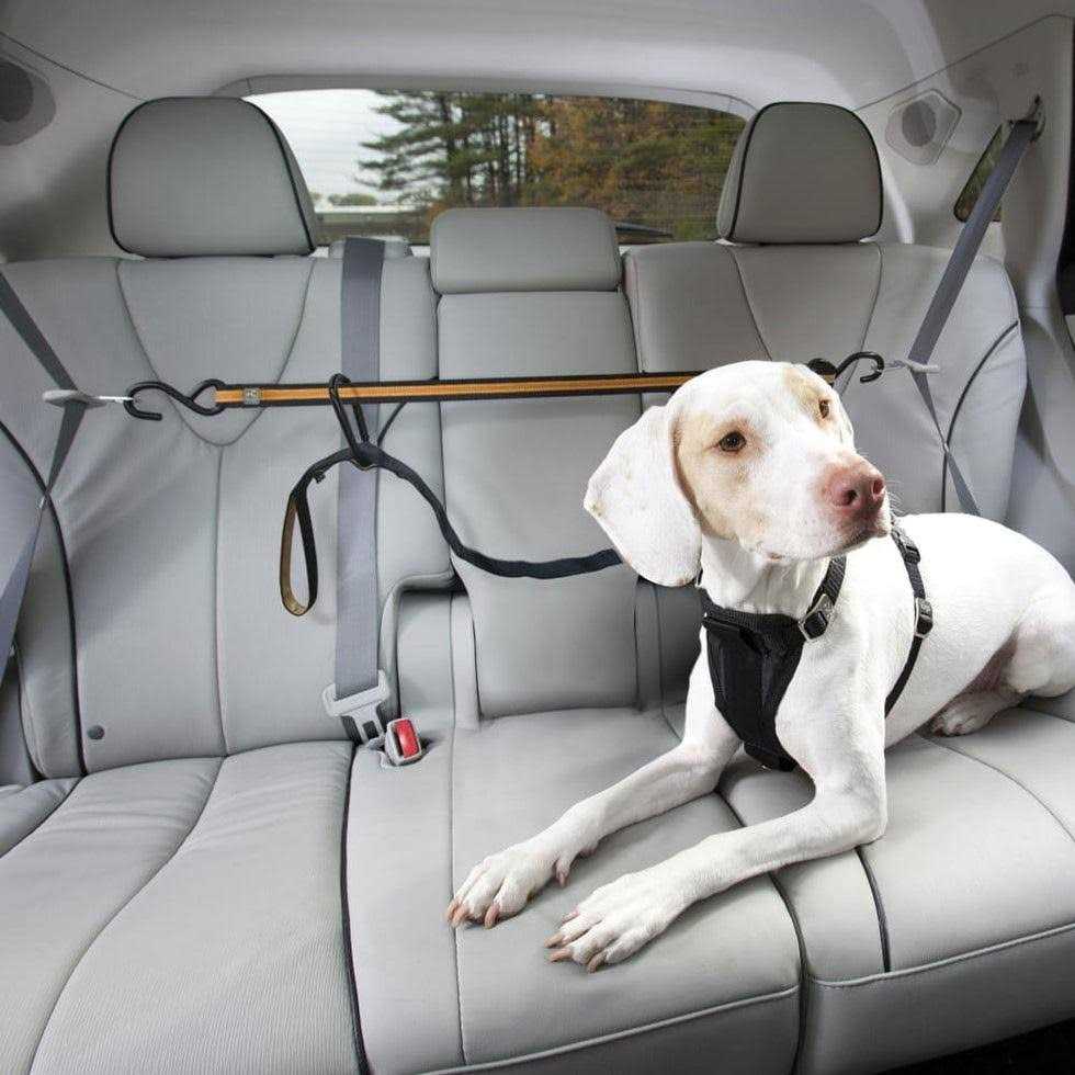Auto Zip Line Pet Supplies I746