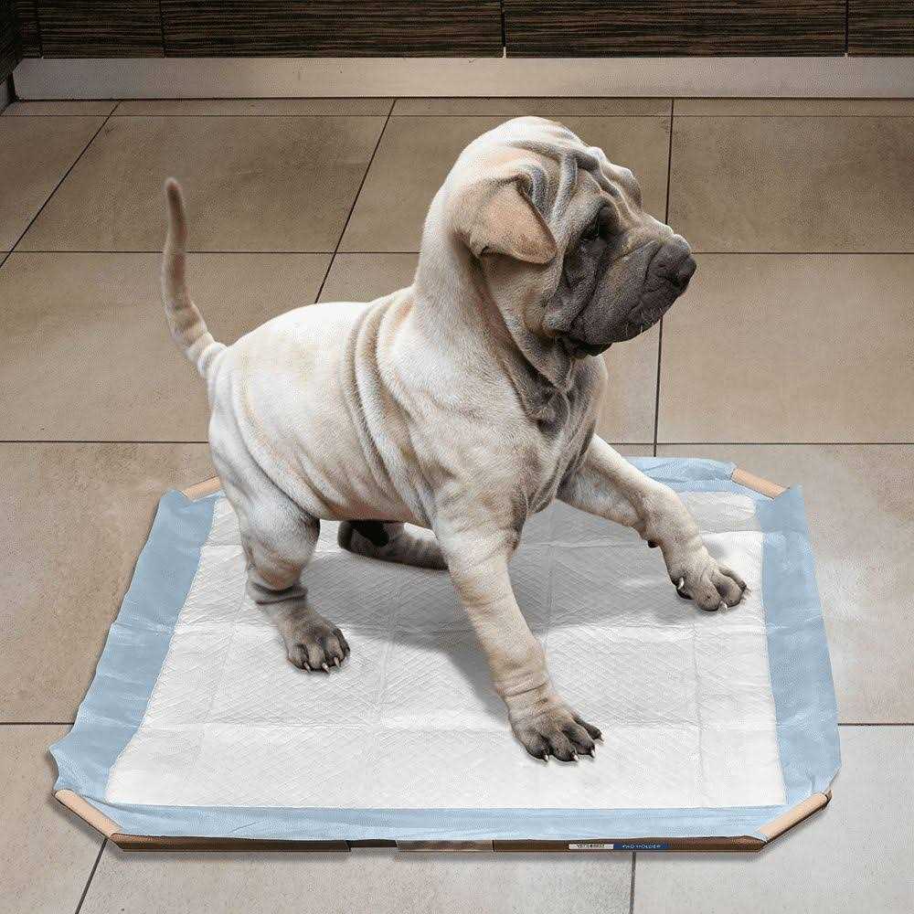 Dog Pad Holder Portable Tray I724
