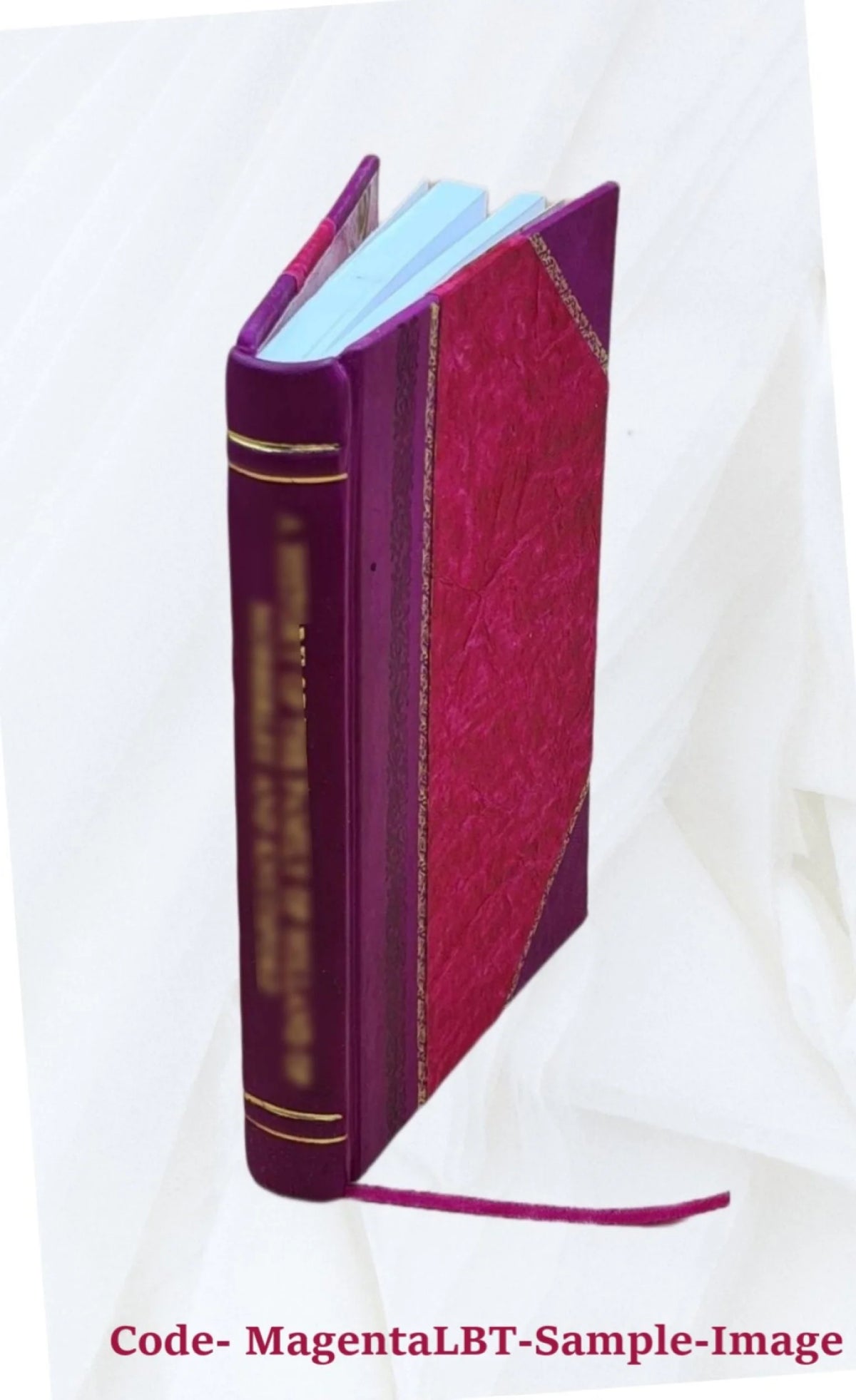 Leather Bound Book Y44259