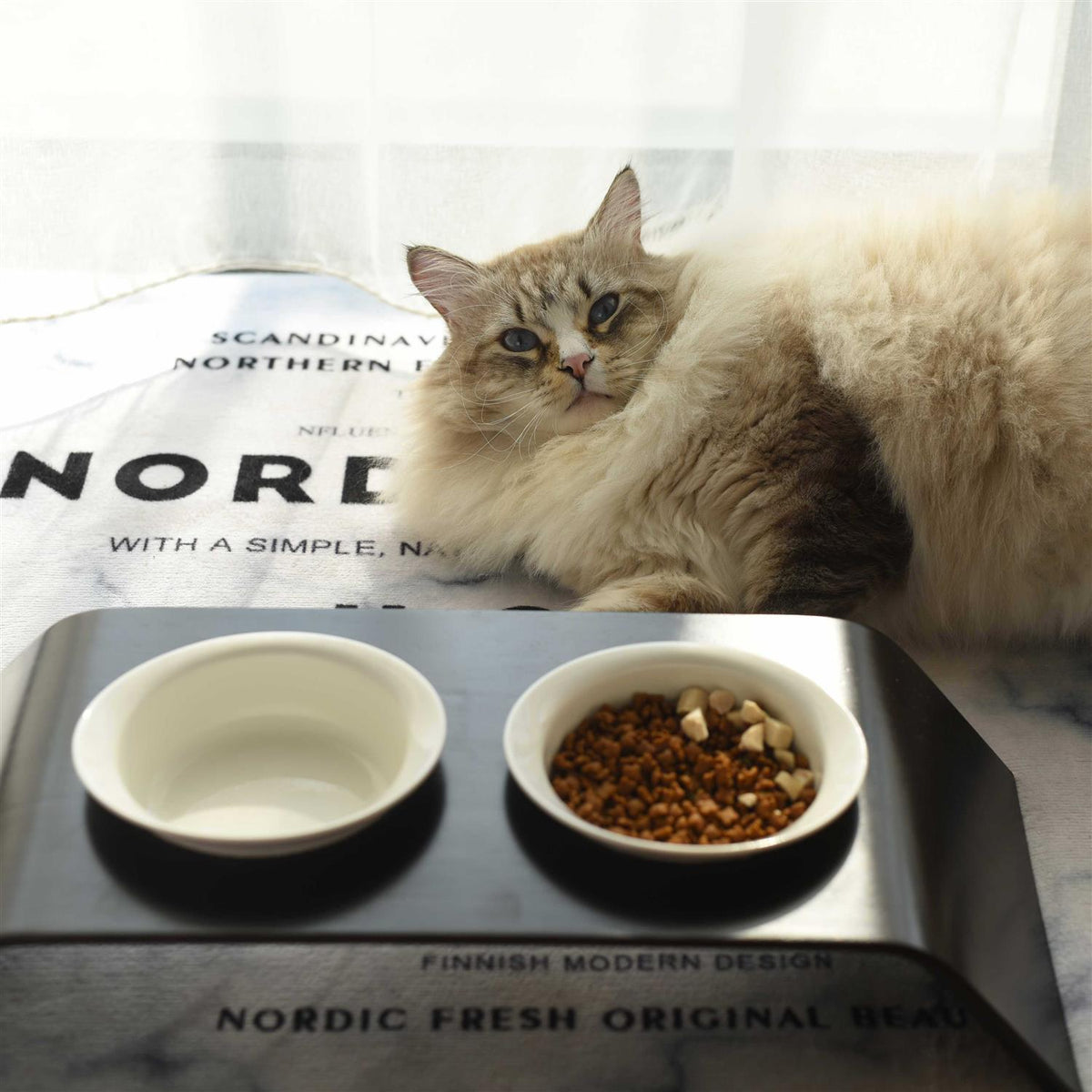 Pet Food Table T4946
