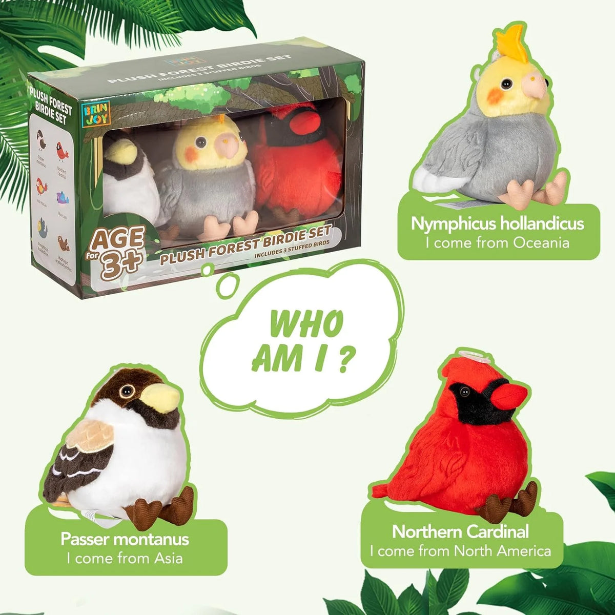 3 Pcs Plush Bird Stuffed Animal Toy G969