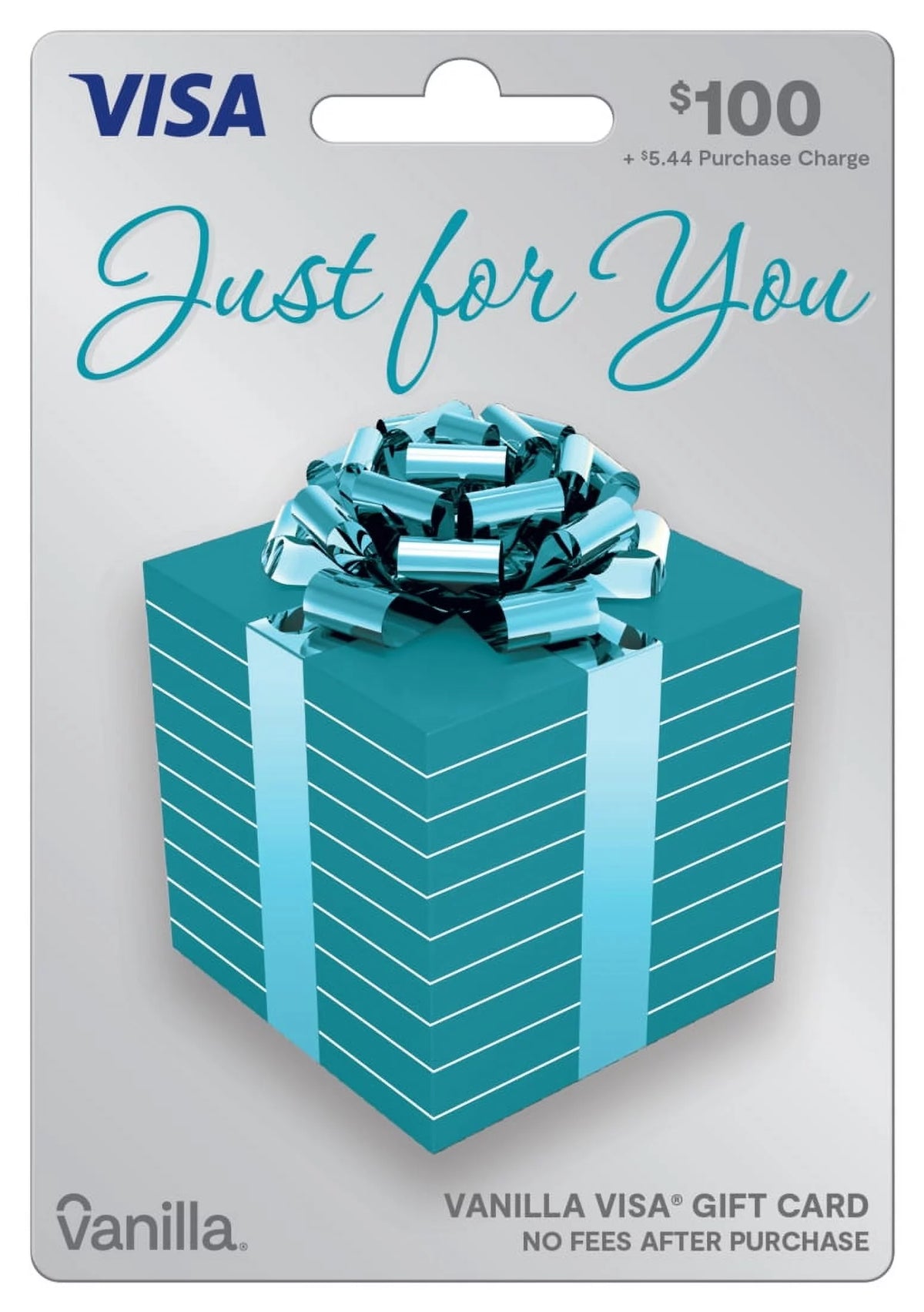 Vanilla Visa Gift Card X1061