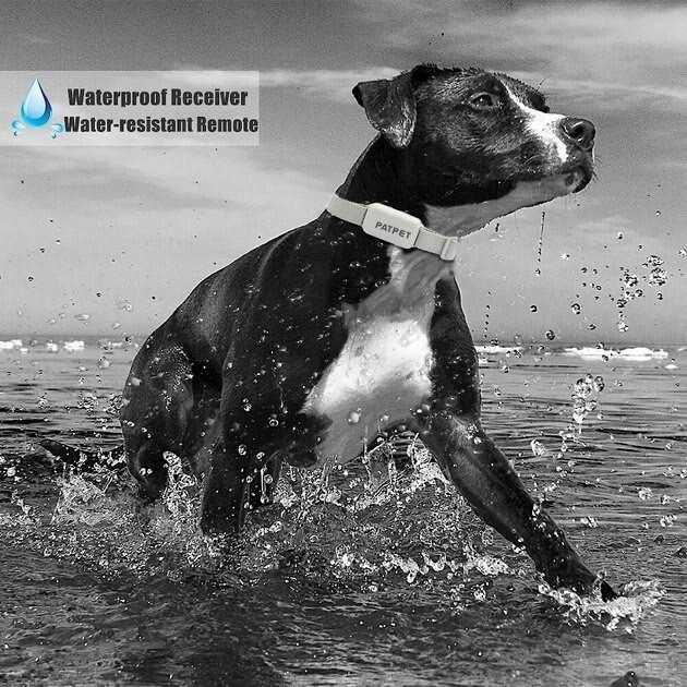 Remote Training Collar for Dogs B30447