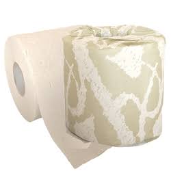 Toilet Paper 500 Sheets White G87051