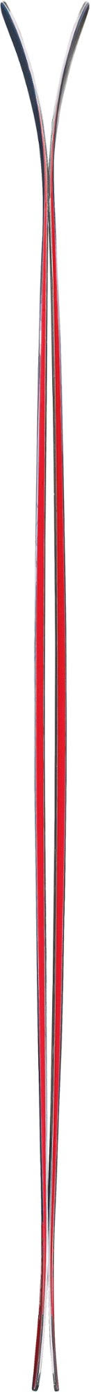 179 cm Skis D969