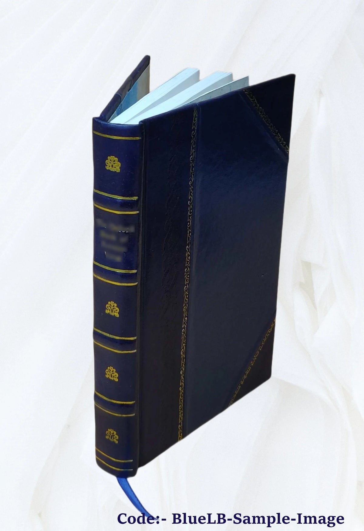 Leather Bound Book O481