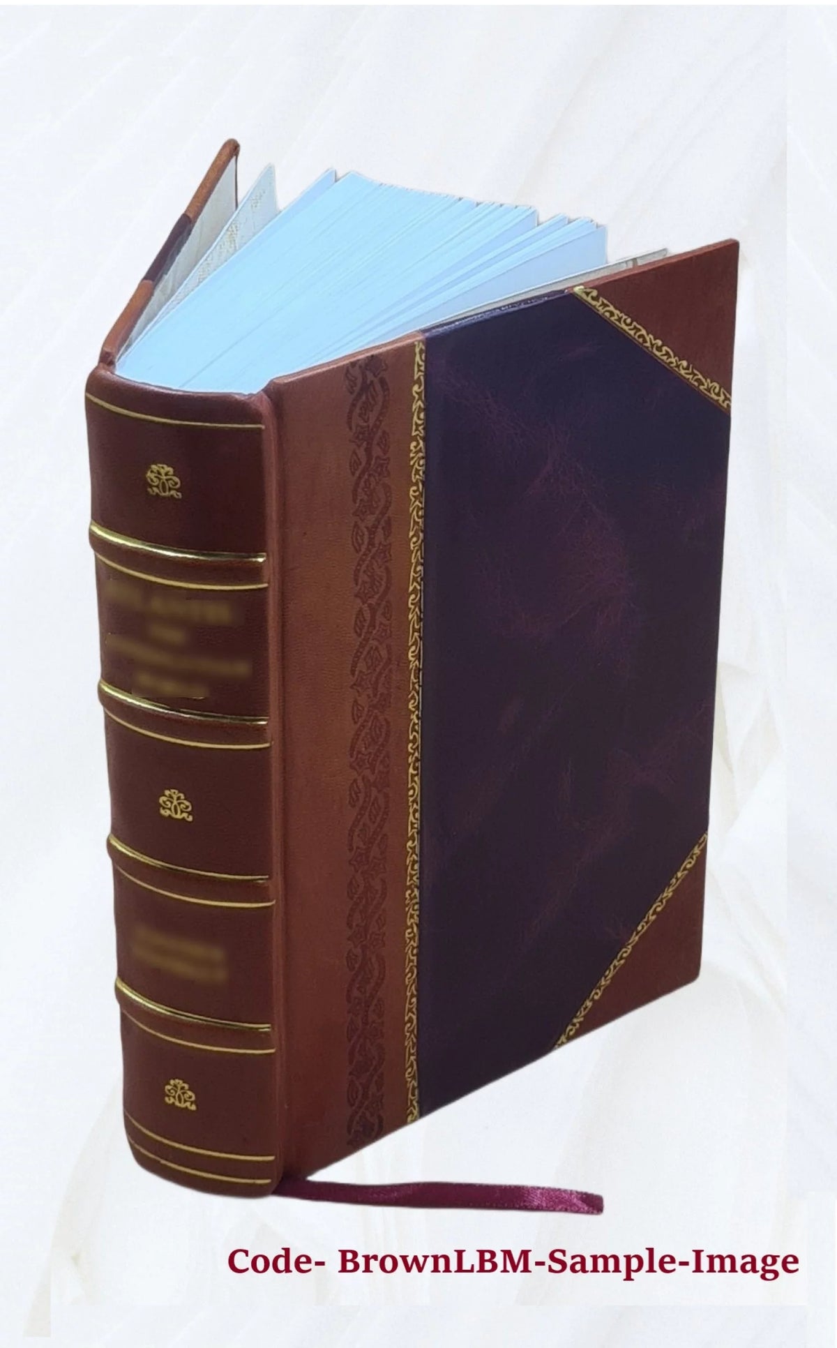 Genealogies of the Connecticut Stiles Family P6943