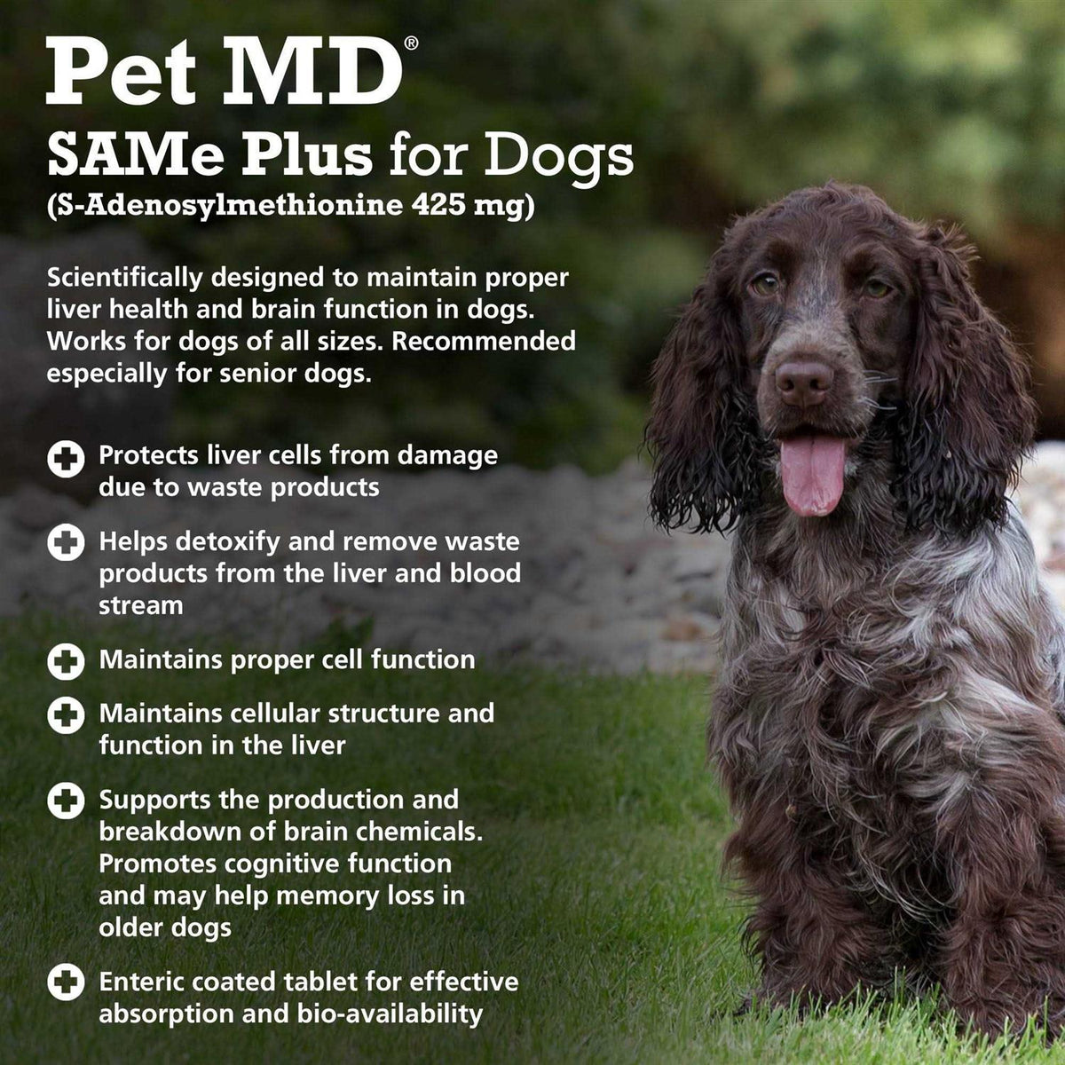 Liver Support Dog Supplement K49238