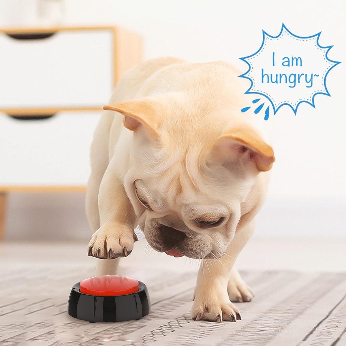 5 pcs Voice Recordable Dog Training Buttons B39614