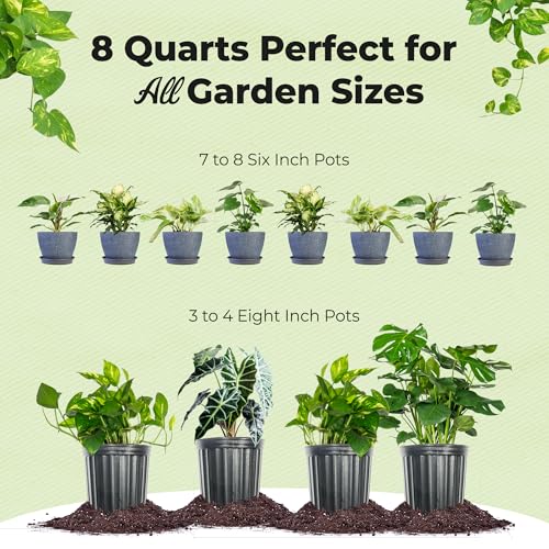 Organic Aroid Potting Mix 8qt M32728
