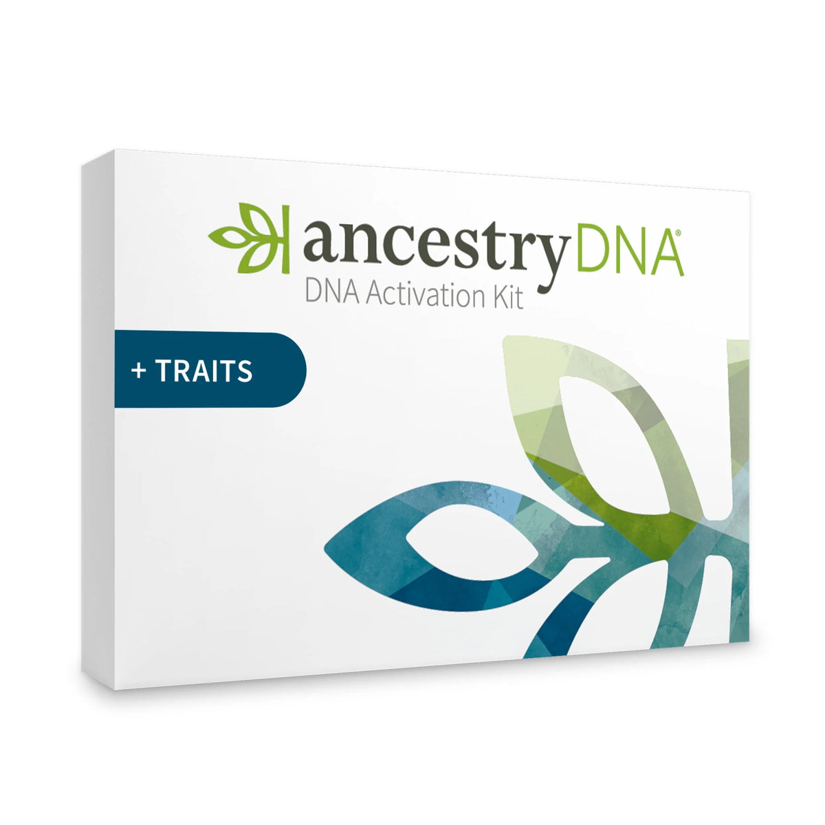 Genetic Traits DNA Test Kit K242340