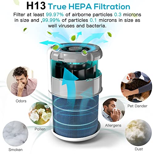 2 Pack H13 True HEPA Air Purifier R404583