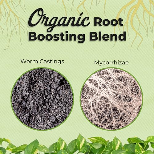 Organic Aroid Potting Mix 8qt M32728