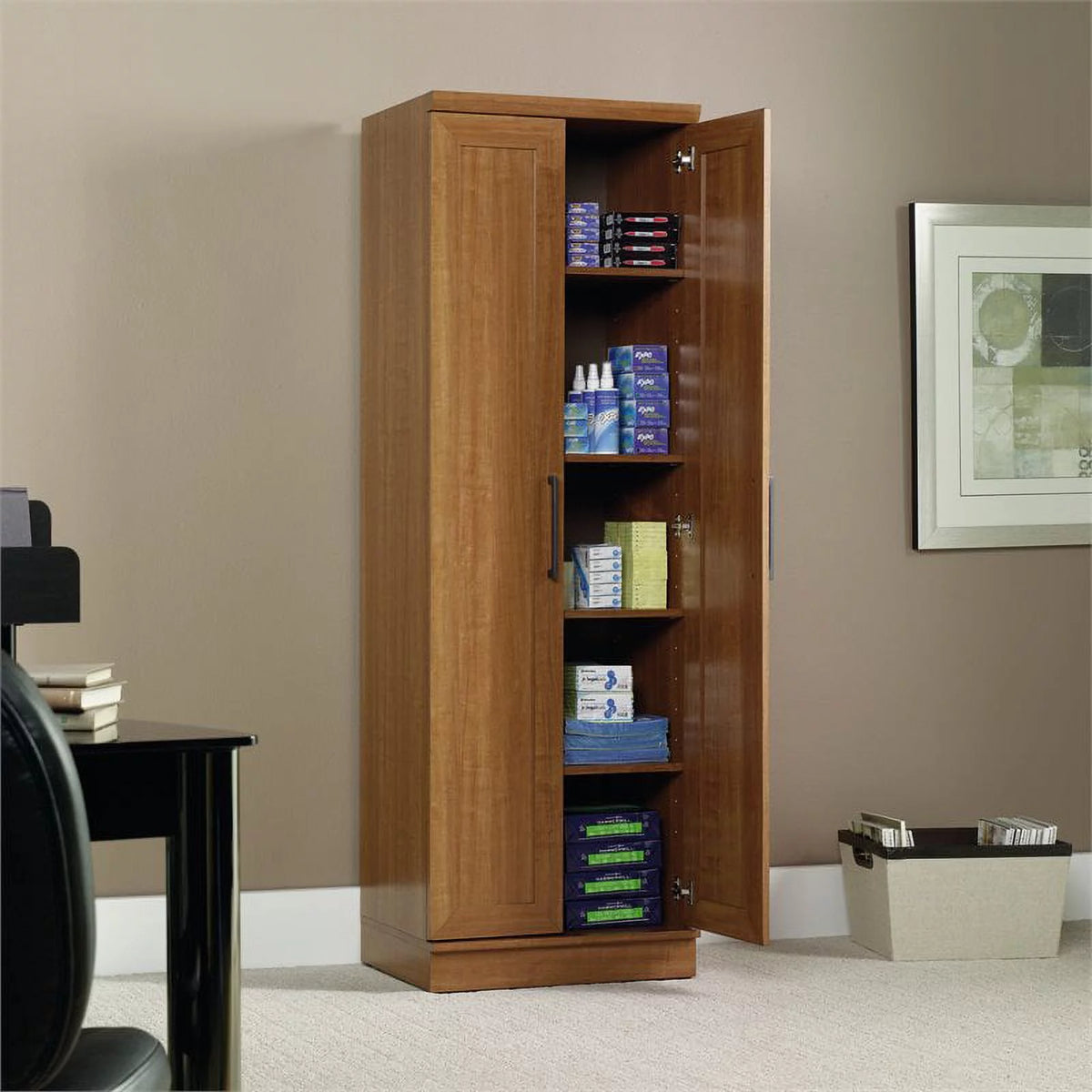 2-Door Storage Cabinet D6284