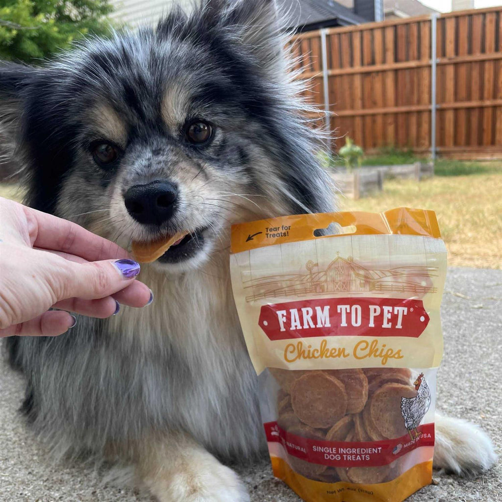 Chicken Chips Dog Treats H112