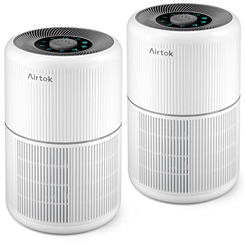 2 Pack H13 True HEPA Air Purifier R404583