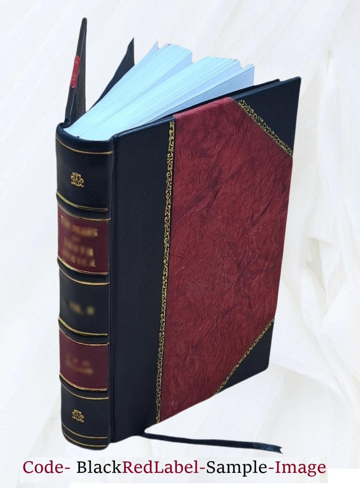 Leather Bound Book O481